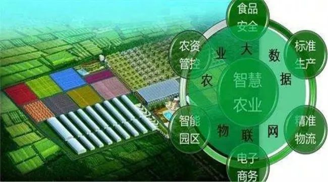 全程追溯，用數(shù)據(jù)把好農(nóng)產(chǎn)品“生產(chǎn)關(guān)”