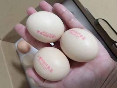 瀏覽全球網(wǎng)絡(luò)，您還能找到比這個(gè)更全面的雞蛋噴碼機(jī)解決方案嗎？