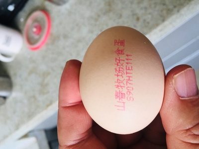 瀏覽全球網(wǎng)絡(luò)，您還能找到比這個(gè)更全面的雞蛋噴碼機(jī)解決方案嗎？