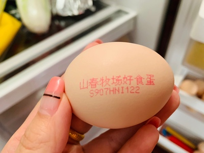 瀏覽全球網(wǎng)絡(luò)，您還能找到比這個(gè)更全面的雞蛋噴碼機(jī)解決方案嗎？